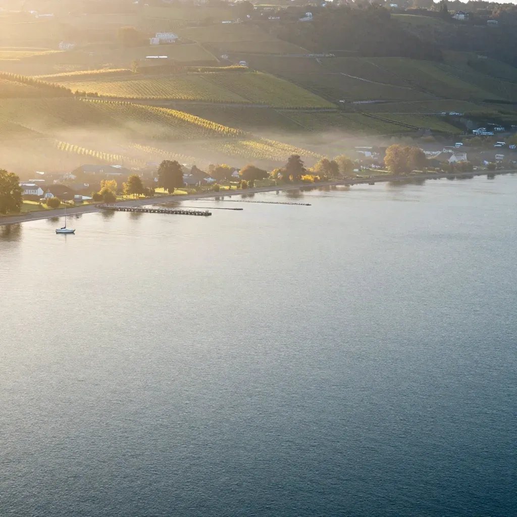 Weite Bodensee-Küste mit Häfen, Uferhängen und Nebel über ruhigem Wasser.